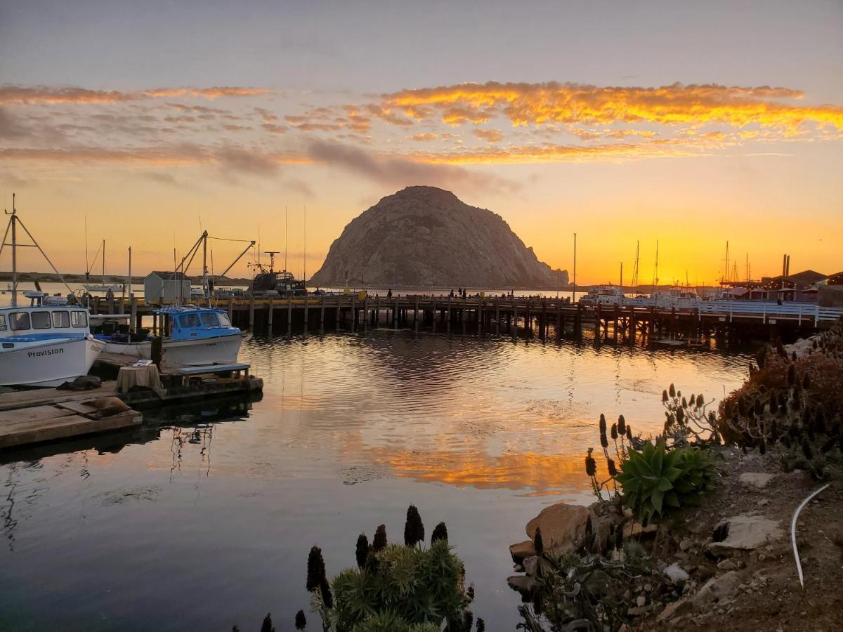 Gray'S Inn & Gallery Morro Bay Εξωτερικό φωτογραφία